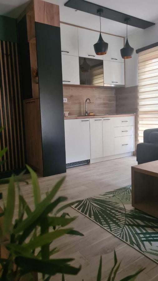 Apartmani Part Divčibare エクステリア 写真